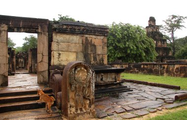 Ruins of Polonnaruwa and the Dog clipart