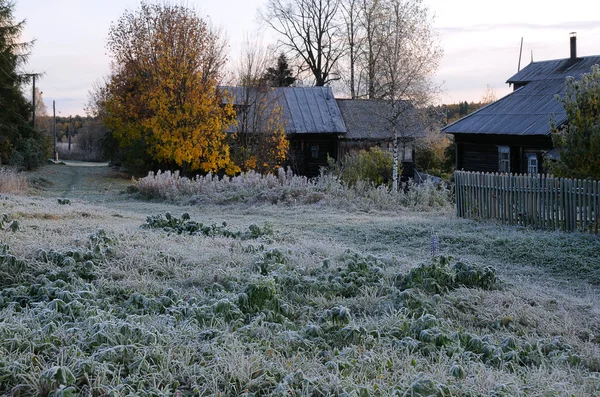 Πρώτη ψυχρός πρωί στο ρωσικό χωριό — Φωτογραφία Αρχείου