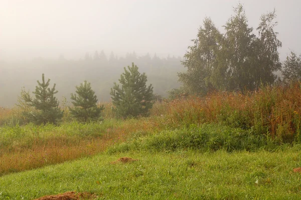 Foggy Day In The Country — Stock Photo, Image