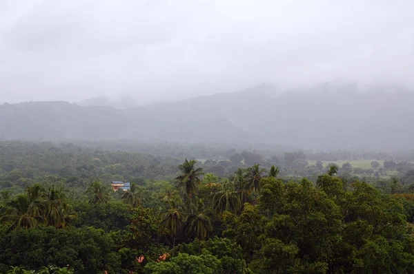 Шри-Ланка в тумане — стоковое фото