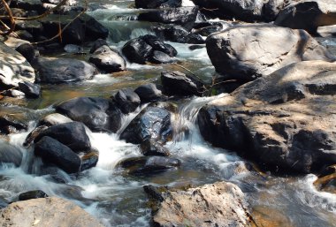 Mountain Stream clipart