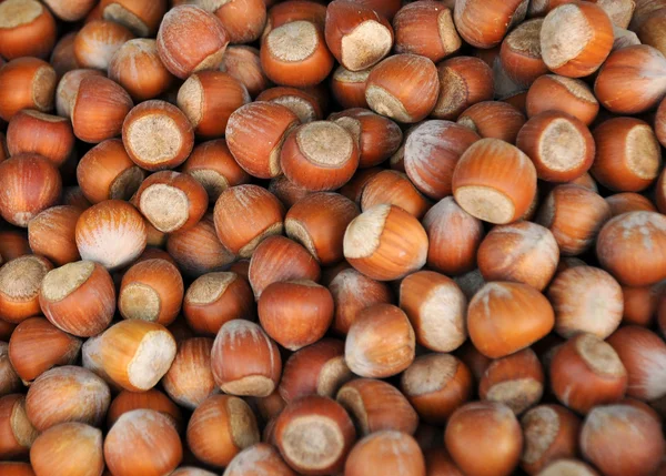 Closeup Image of Unshelled Hazelnuts — Stock Photo, Image