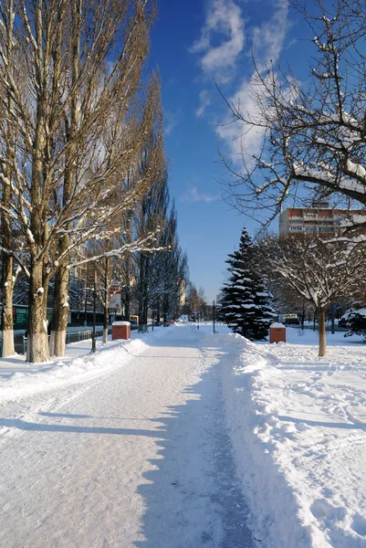 Korolev Avenue, na cidade de Korolev — Fotografia de Stock