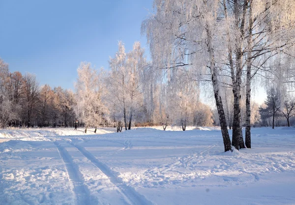 Kış gününde — Stok fotoğraf