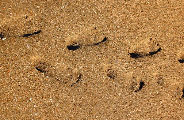Footprints on the Sand — Stock Photo, Image