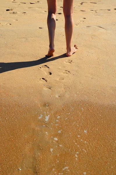 Caminando sobre la arena mojada — Foto de Stock
