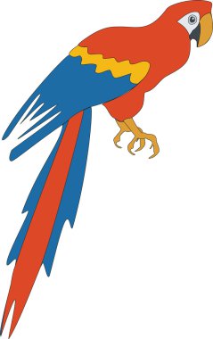 Parrot color 03 clipart