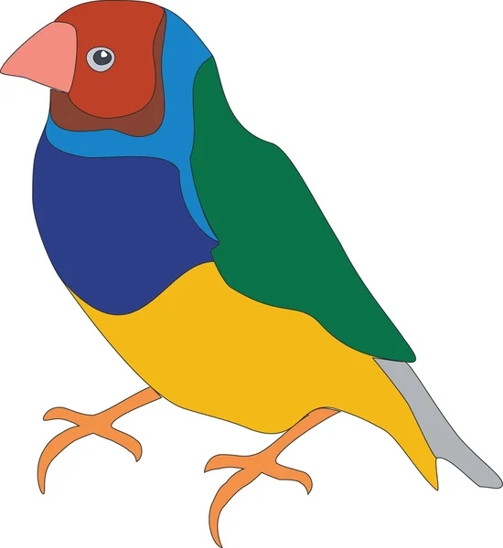 Papoušek barva 01 — Stockový vektor