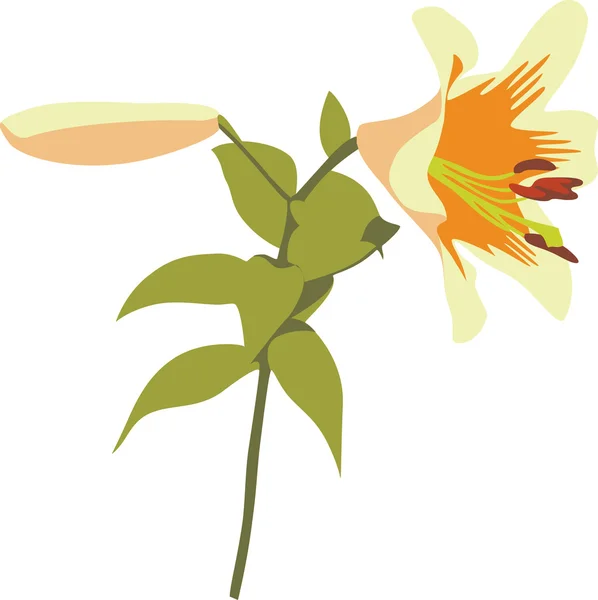 Blommans färg 02 — Stock vektor