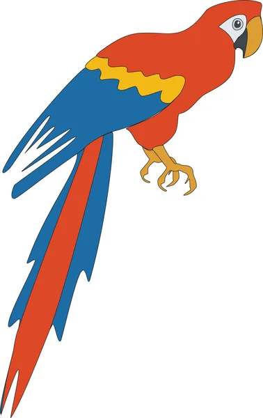 Papuga kolor 03 — Wektor stockowy