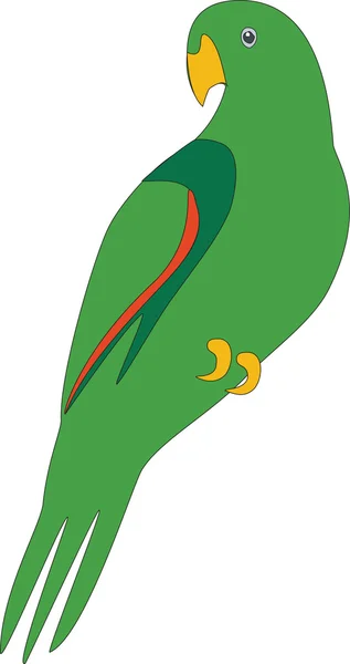 Papuga kolor 02 — Wektor stockowy
