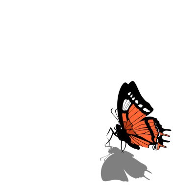 Butterfly on paper 08 clipart