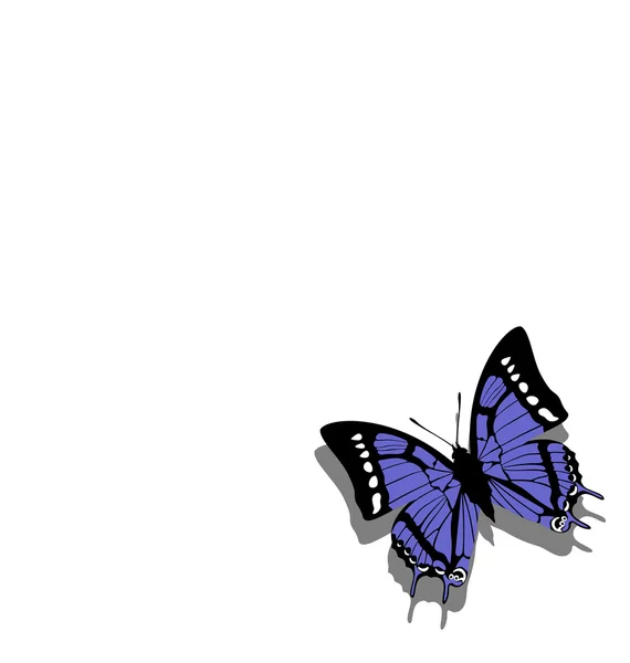 Mariposa sobre papel 06 — Archivo Imágenes Vectoriales