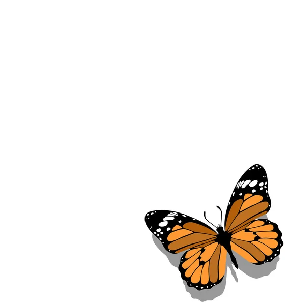 Schmetterling auf Papier 11 — Stockvektor