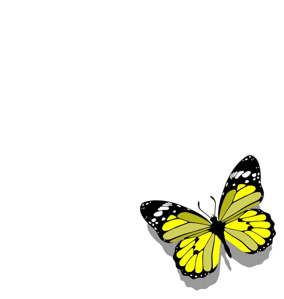 Mariposa sobre papel 09 — Vector de stock