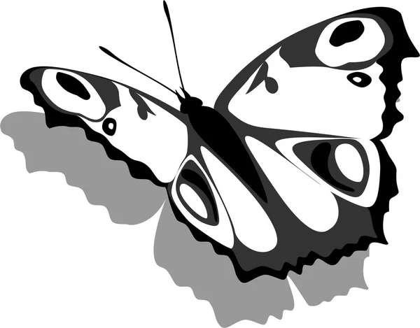 Schmetterling auf Papier 13 — Stockvektor