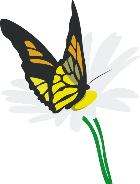 Mariposa en flor 02 — Vector de stock