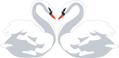 Swan couple color 01 clipart