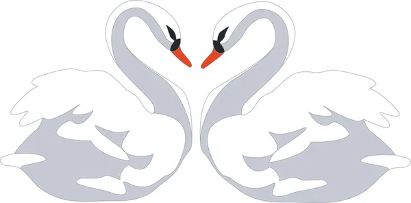 Swan couple color 01 — Stock Vector