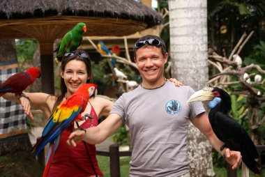 Photo with parrots clipart