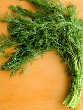 Fennel clipart