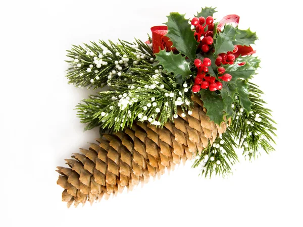 Vánoční borovice — Stock fotografie