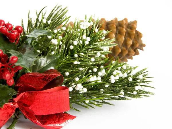 Vánoční borovice — Stock fotografie