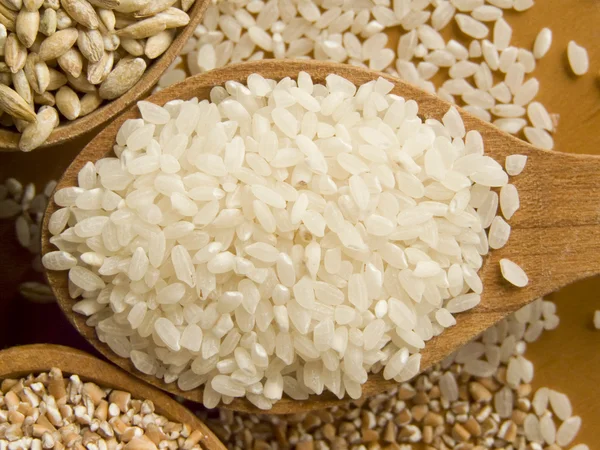 Rice — Stock Image Rice Stock Photo