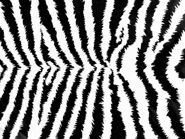 zebra deseni