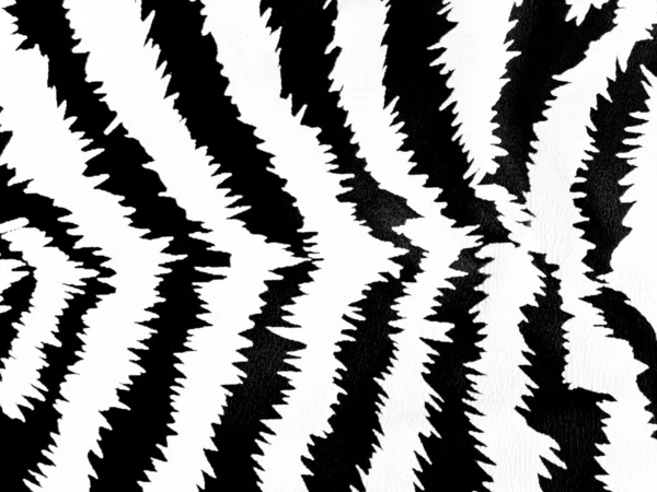 Wzór zebra — Zdjęcie stockowe