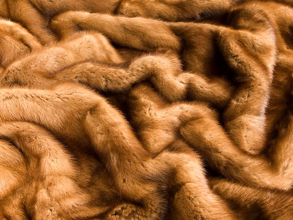 Mink fur — Stock Photo, Image