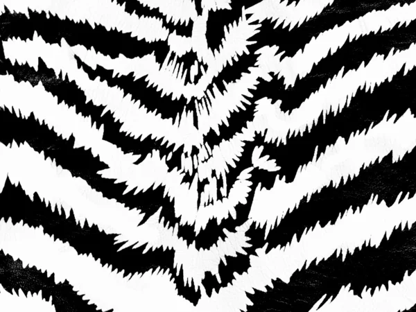 Zebra pattern — Stock Photo, Image