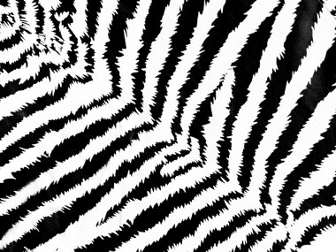 zebra deseni