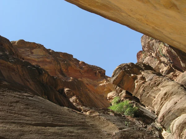Petra kanyonda — Stok fotoğraf