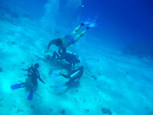 Divers — Stock Photo, Image