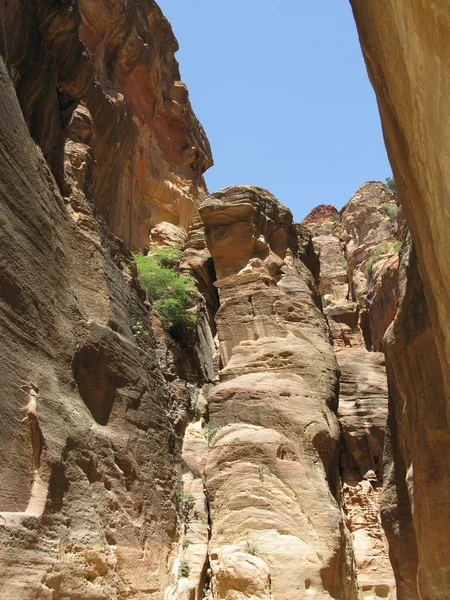 Deep canyon in Petra — Stock Photo, Image