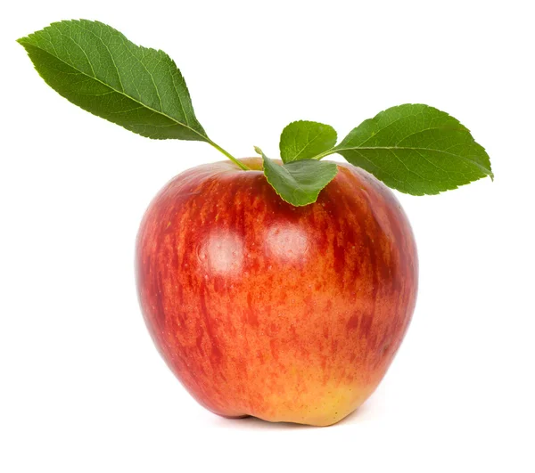 熟した新鮮なリンゴ — ストック写真