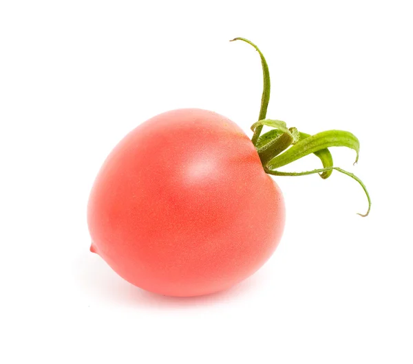 Kypsä tomaatti — kuvapankkivalokuva