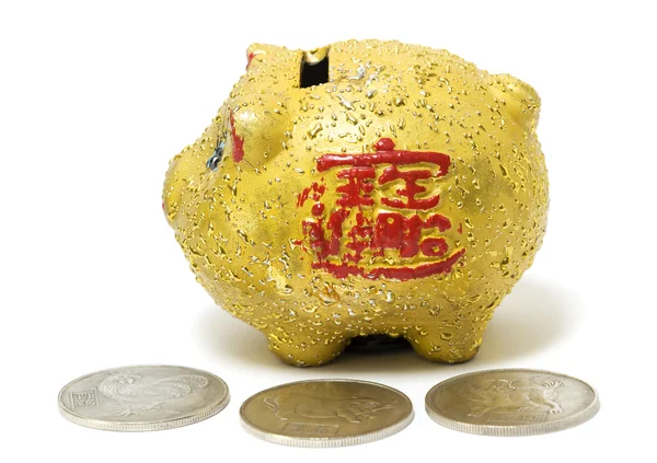 Piggy caixa de dinheiro com dinheiro — Fotografia de Stock