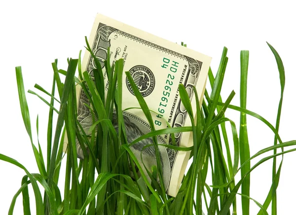 Financial Growth — Stock Photo, Image