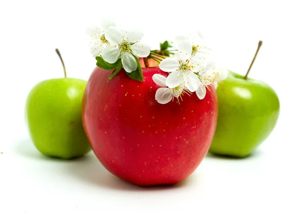Red & green apple — Stock Photo, Image
