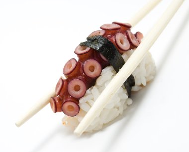 Octopus Sushi Sashimi clipart