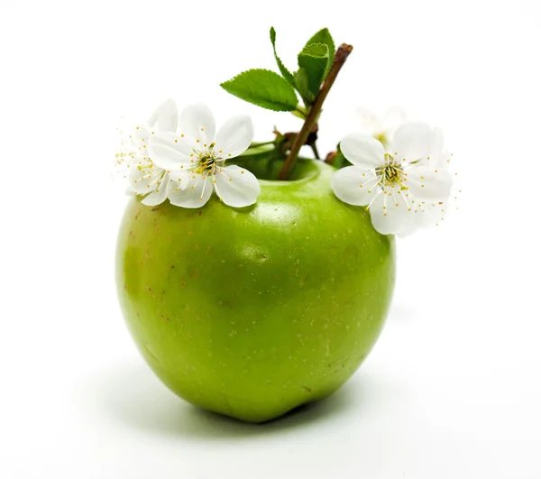 Manzana verde y flor — Foto de Stock