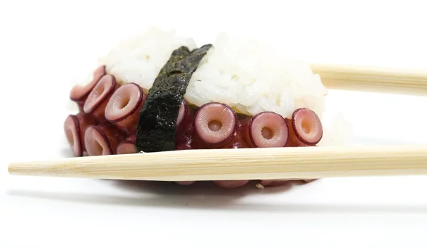 Polpo Sushi Sashimi — Foto Stock