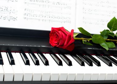 Romantic concept - red rose on piano key clipart