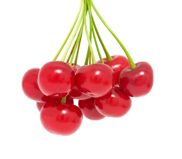 Cherries against white background — Stock Photo, Image