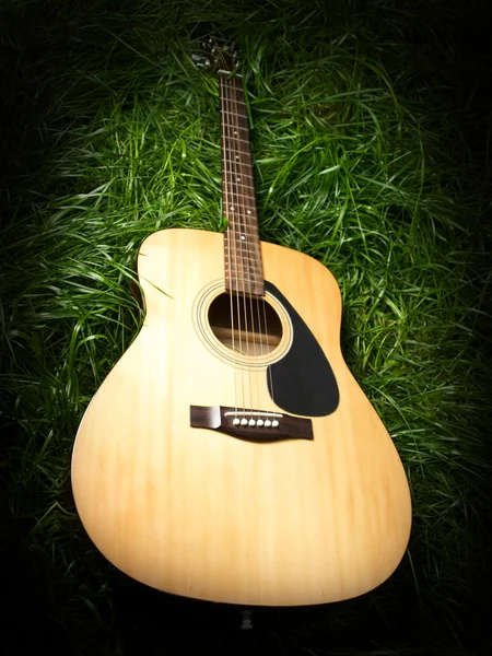 Guitar in Grass — Stock Photo, Image