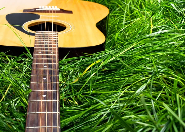 Guitar in Grass — Stock Photo, Image