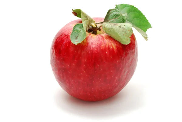 赤いリンゴ — ストック写真