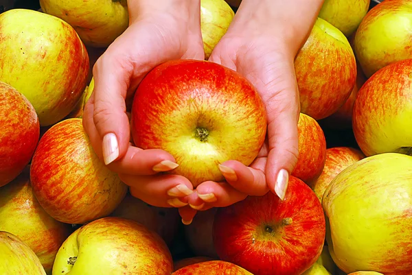 Ręce trzyma jabłko — Zdjęcie stockowe